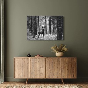 Kép - Szarvas az erdőben 2, fekete-fehér (90x60 cm)