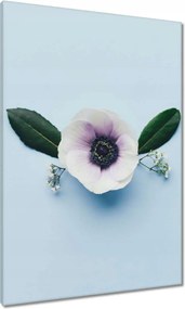 Vászonkép 70x100 Pipacsvirág