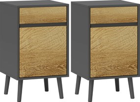 HOMCOM 2 db Éjjeli Szék, Fiókkal és Szekrénnyel, Modern Stílus a Hálószobába, 40 x 39 x 69 cm, Sötétszürke | Aosom