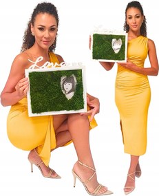 Fából Készült Képkeret Moha Chrobotek Kép mohából Love Nagy Élő Keret