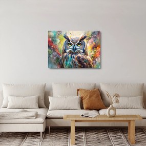 Üveg kép - Egy bagoly festménye (70x50 cm)