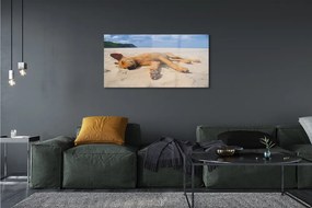 Üvegképek Fekvő kutya strand 120x60cm