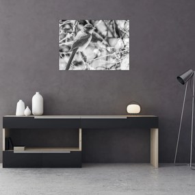 Üveg kép - Kék madár télen (70x50 cm)