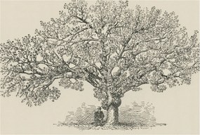 Fotótapéta Flizelin a ház szobájába 3D fa illusztráció 104x70 ragasztó