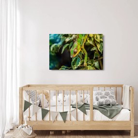Kaméleon képe (90x60 cm)
