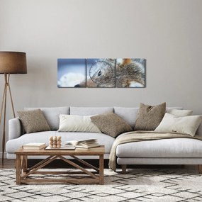 Kép - Farkas (órával) (90x30 cm)