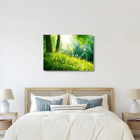 Üveg kép - Varázslatos rét tele pitypanggal (70x50 cm)