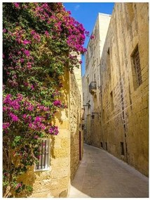 3D fotótapéta utca város fotótapéta 206 x 275