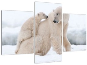 Kép - Jegesmedvék (90x60 cm)
