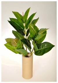 Ficus Elastica művirág, 45 cm