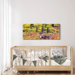 Kép - Caribou, Alaszka (120x50 cm)