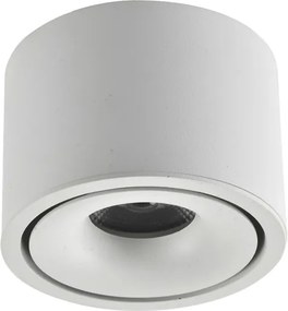 AZZARDO 6033 COSTA Hengeres Mennyezeti Lámpa LED IP20