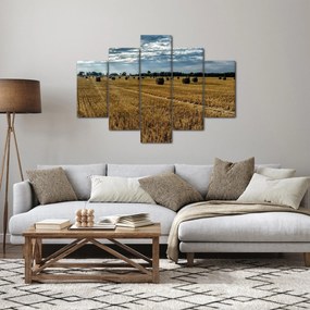 Betakarított gabona mező képe (150x105 cm)
