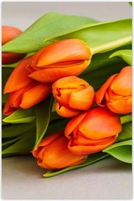 Poszterek 80x120 Nőnap Ajándék Love