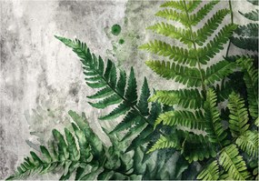 Fotótapéta Akvarell Páfrány levelek vinil nyugalom 312x219 +ragasztó