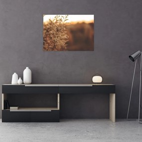 Virágzó fű képe (üvegen) (70x50 cm)