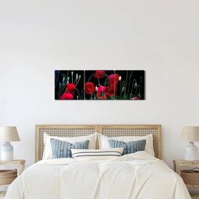 Kép - Pipacsok tánca (órával) (90x30 cm)