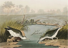 Flizelin tapéta Flizelin Fali Prémium Nyugodt tájkép 208x146