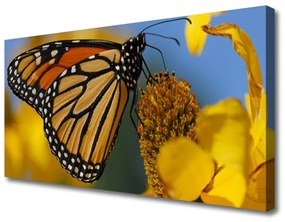 Vászonfotó Butterfly Flower Természet 120x60 cm