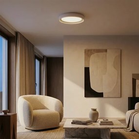 Brilagi - dimmelhető LED mennyezeti lámpa WALDO LED/48W/230V Ø 40 cm fehér/ezüst + távirányító