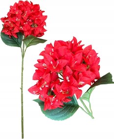 Bugenwilla Műág Piros nagy fej Bougainvillea Virágok Virág