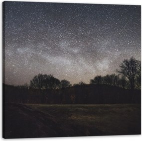 Vászonkép Kozmosz Csillagos égbolt Galaxis 60x60 cm