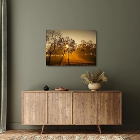 Napkelte kép (üvegen) (70x50 cm)