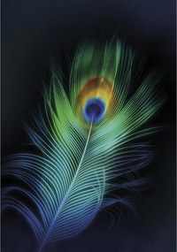 Dekoria Vászonkép Páva toll 50x70