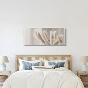 Kép - Nyúl farok (120x50 cm)