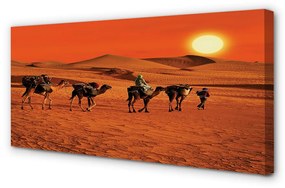 Canvas képek Tevék az emberek sivatagi nap ég 100x50 cm