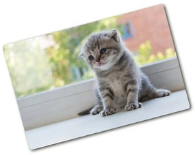 Üveg vágódeszka Kis macska az ablakban pl-ko-80x52-f-114401117