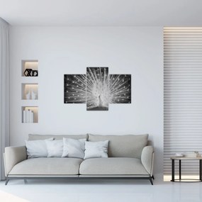 Kép - Fehér páva (90x60 cm)