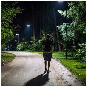 LED Napelemes utcai lámpa érzékelővel URBI LED/8W/3,2V 6500K IP54 + távirányító