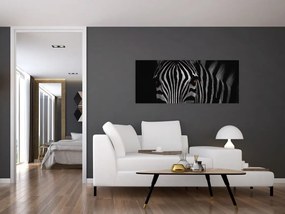 Zebra képe (120x50 cm)