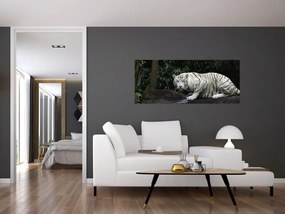 Kép - albínó tigris (120x50 cm)