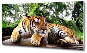 Üvegkép Tiger a rock osh-61968911