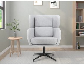 Világosszürke bársony füles fotel Vanessa – Støraa