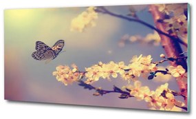 Egyedi üvegkép Cseresznyevirág és a pillangó osh-72331211