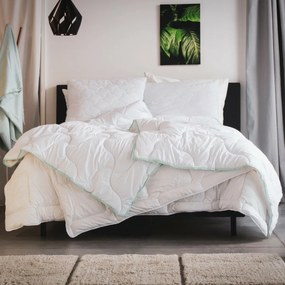 Wendre Aloe Vera paplan, 220 x 200 cm