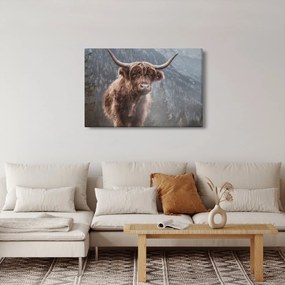 Kép - Highlander tehén (90x60 cm)