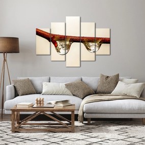 Vízcseppek a faágon képe (150x105 cm)