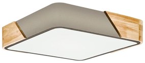 Eglo 99462 - Mennyezeti lámpa GRIMALDINO 2xE27/28W/230V 99462