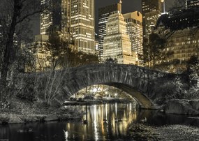 Poszter 42x29,7cm Esti kilátás a New York-i Central Parkra 2, Assaf Fra