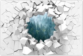 Poszterek 120x80 Erdő a ködben Utazás