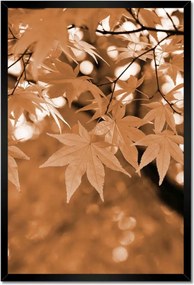 Poszterek keretben 40x60 Szépia Őszi levelek