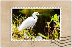 Poszterek 90x60 Kalapos madár Tájkép Kilátás