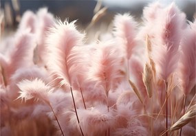 Flizelin fotótapéta Pasztell Fű Bézs Finomság 300x210 +ragasztó