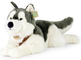 Rappa Plüss husky hámmal 60 cm ECO - FRIENDLY
