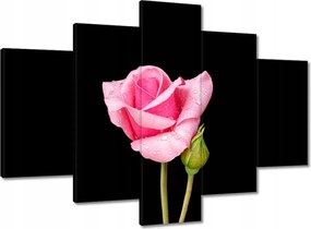 Vászonkép 150x105 Rózsaszín rózsabimbó