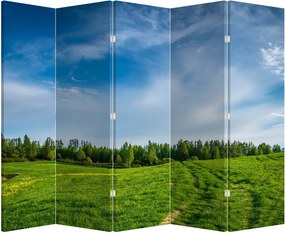 Paraván - Rét (210x170 cm)